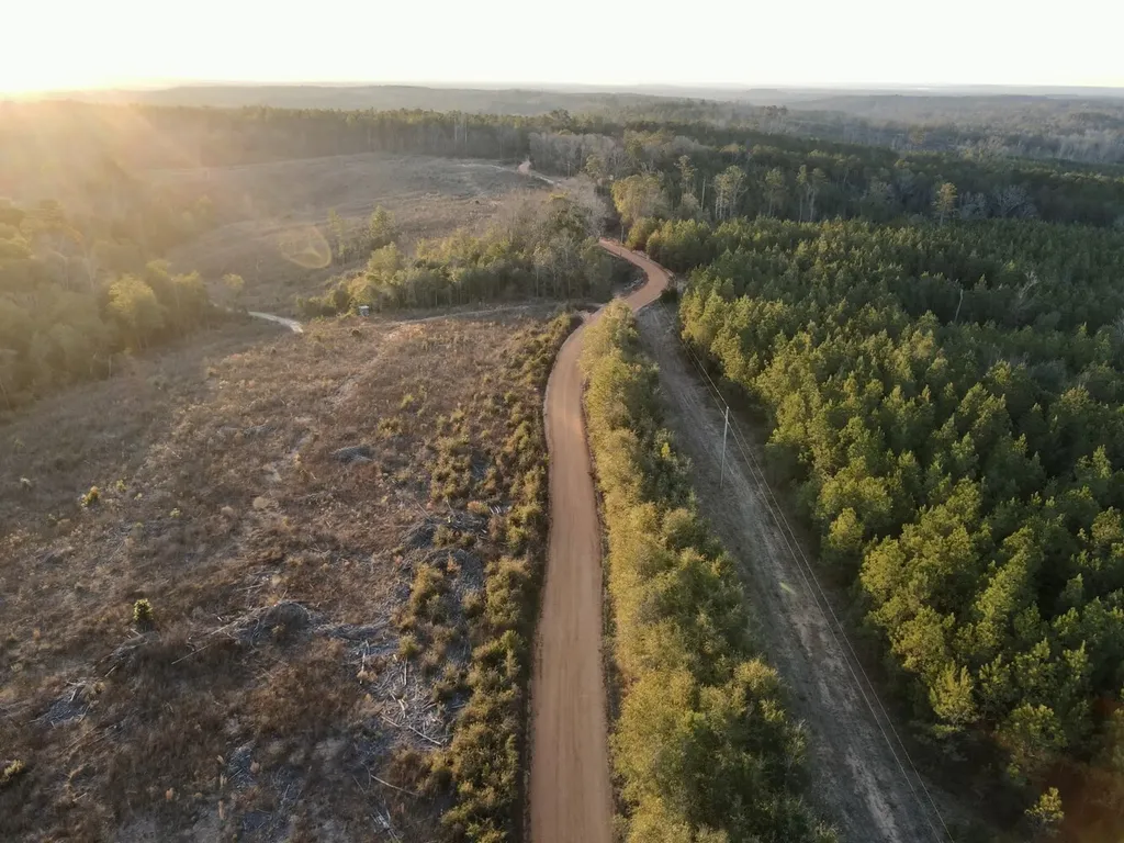 0 Amityville Road Whatley AL 36482