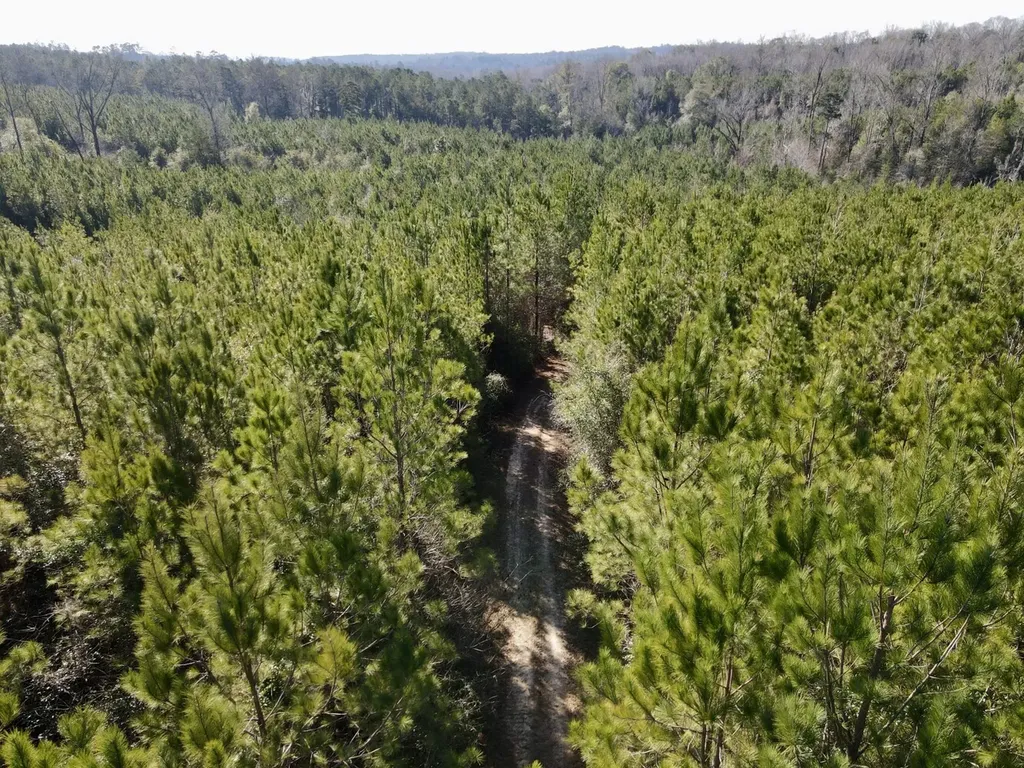 0 Amityville Road Whatley AL 36482