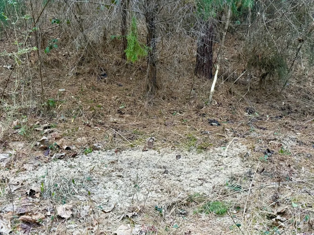 0 Amityville Road Whatley AL 36482