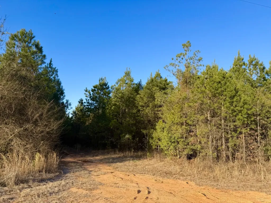 0 Amityville Road Whatley AL 36482