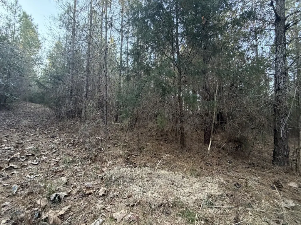 0 Amityville Road Whatley AL 36482