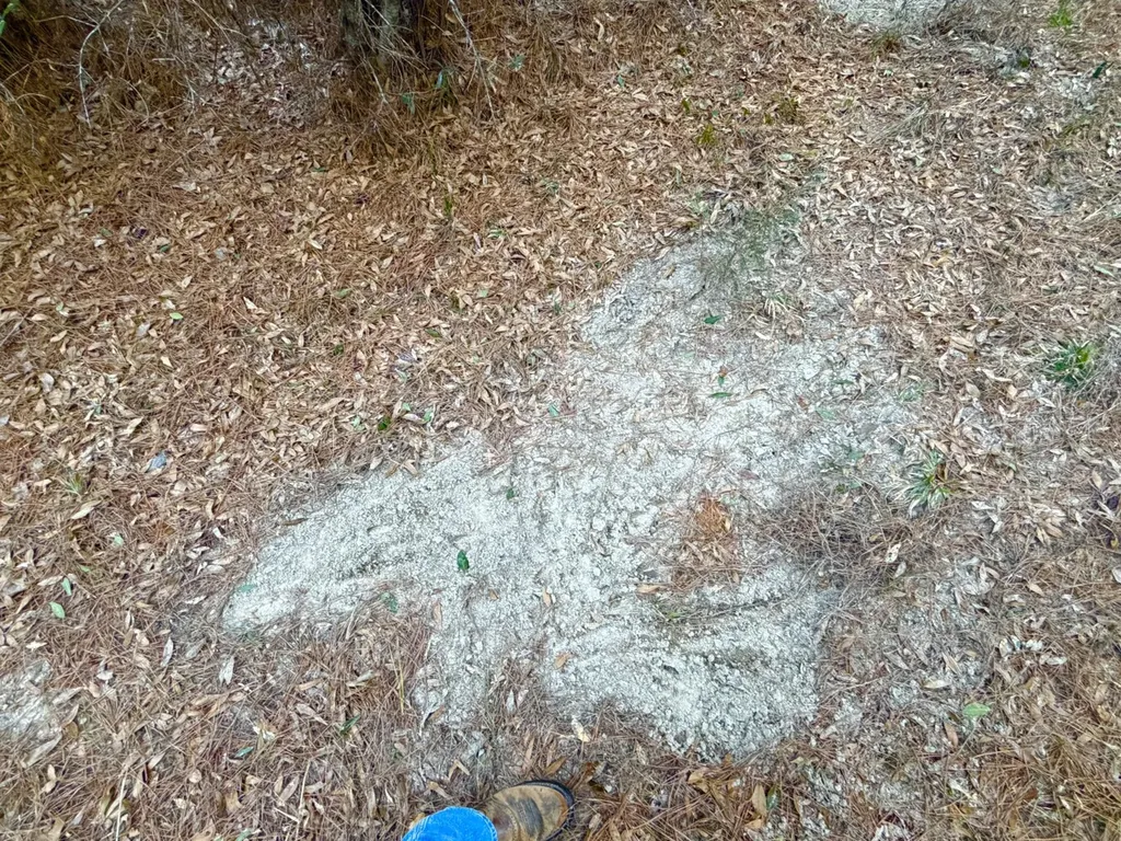 0 Amityville Road Whatley AL 36482