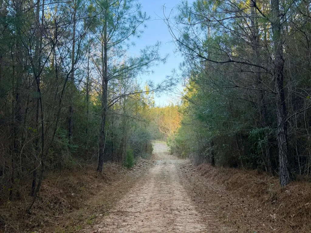 0 Amityville Road Whatley AL 36482