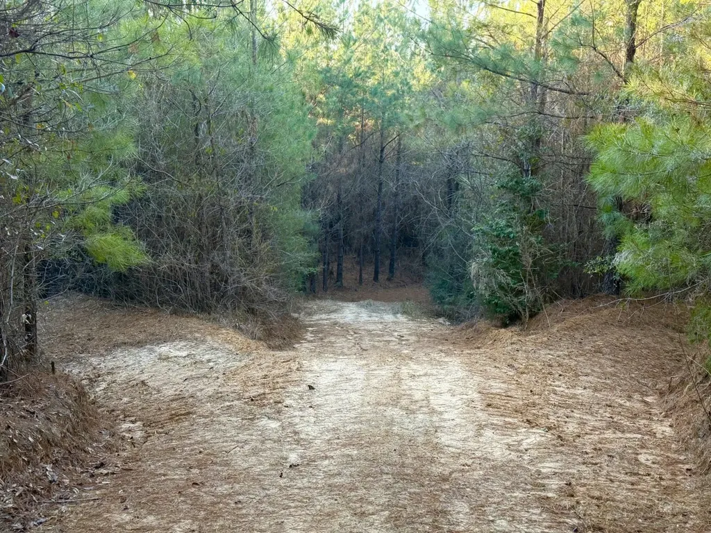 0 Amityville Road Whatley AL 36482