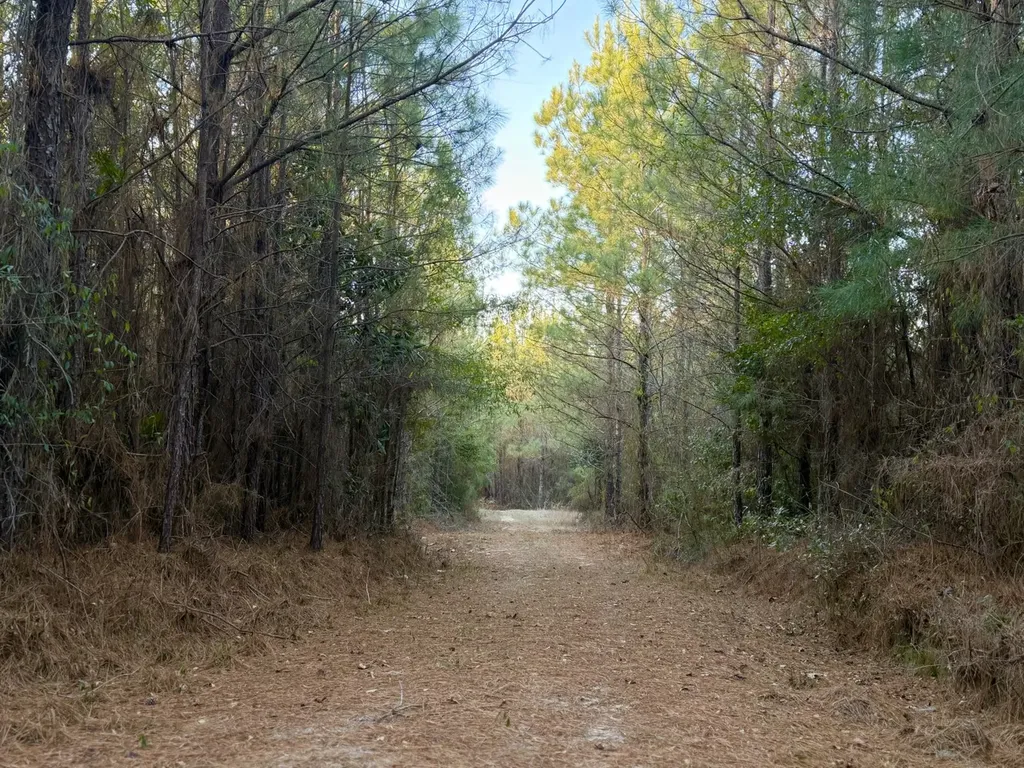 0 Amityville Road Whatley AL 36482