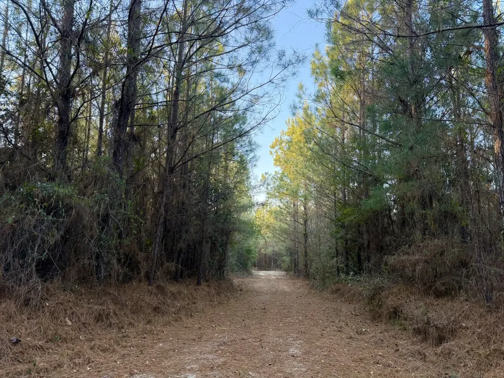 0 Amityville Road Whatley AL 36482