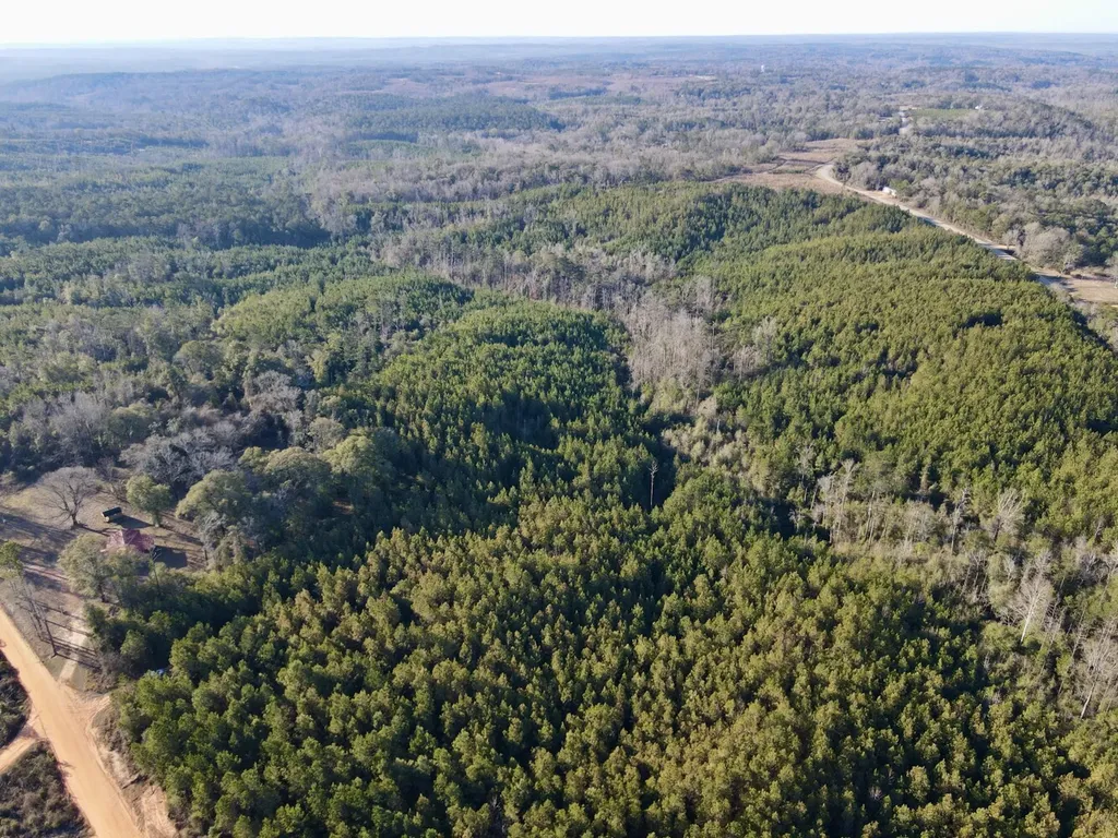 0 Amityville Road Whatley AL 36482