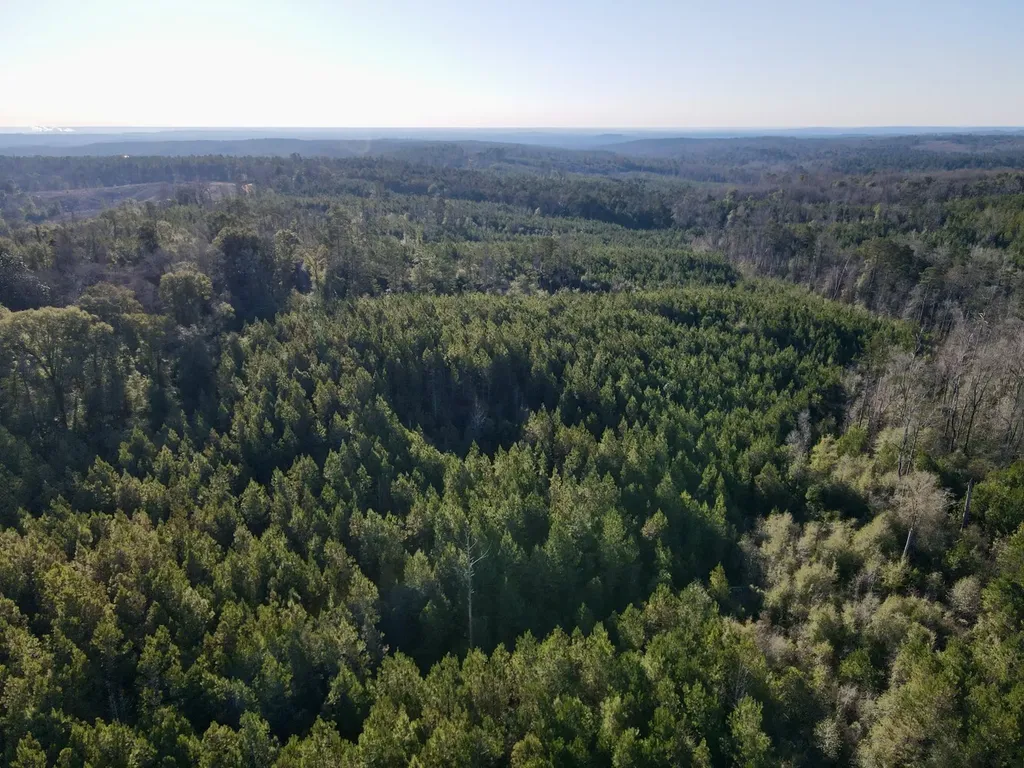 0 Amityville Road Whatley AL 36482