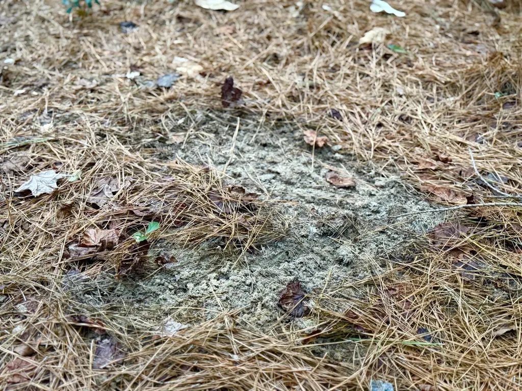 0 Amityville Road Whatley AL 36482