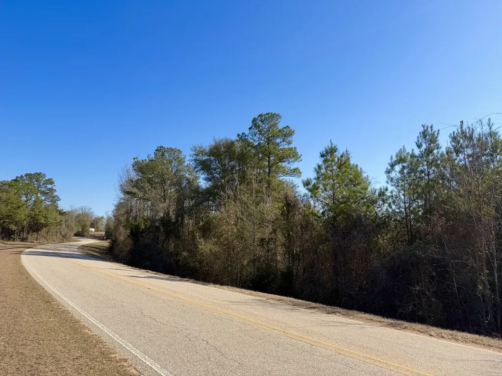 0 Amityville Road Whatley AL 36482