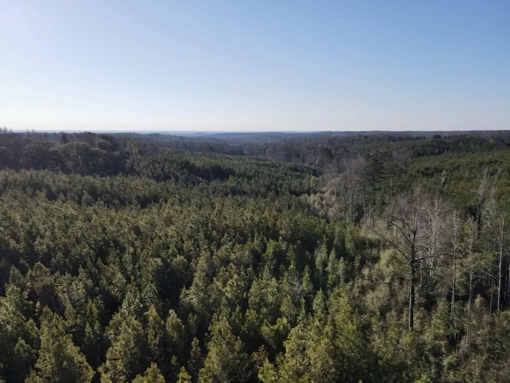 0 Amityville Road Whatley AL 36482