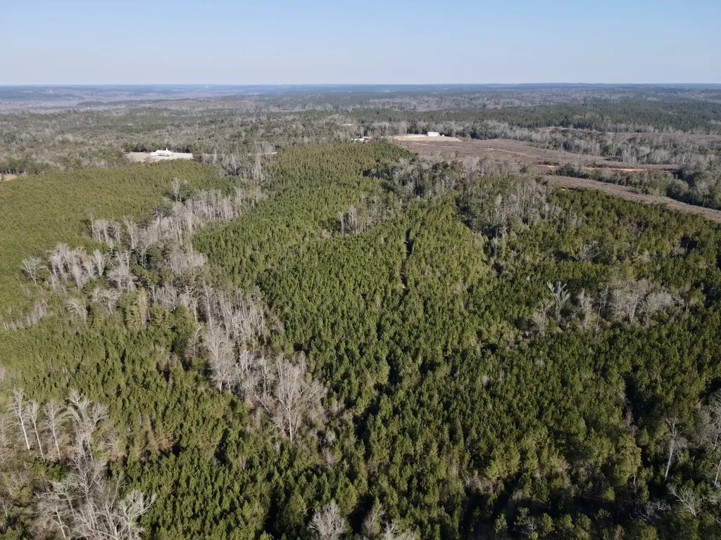 0 Amityville Road Whatley AL 36482