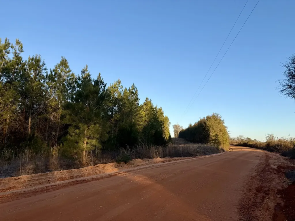 0 Amityville Road Whatley AL 36482