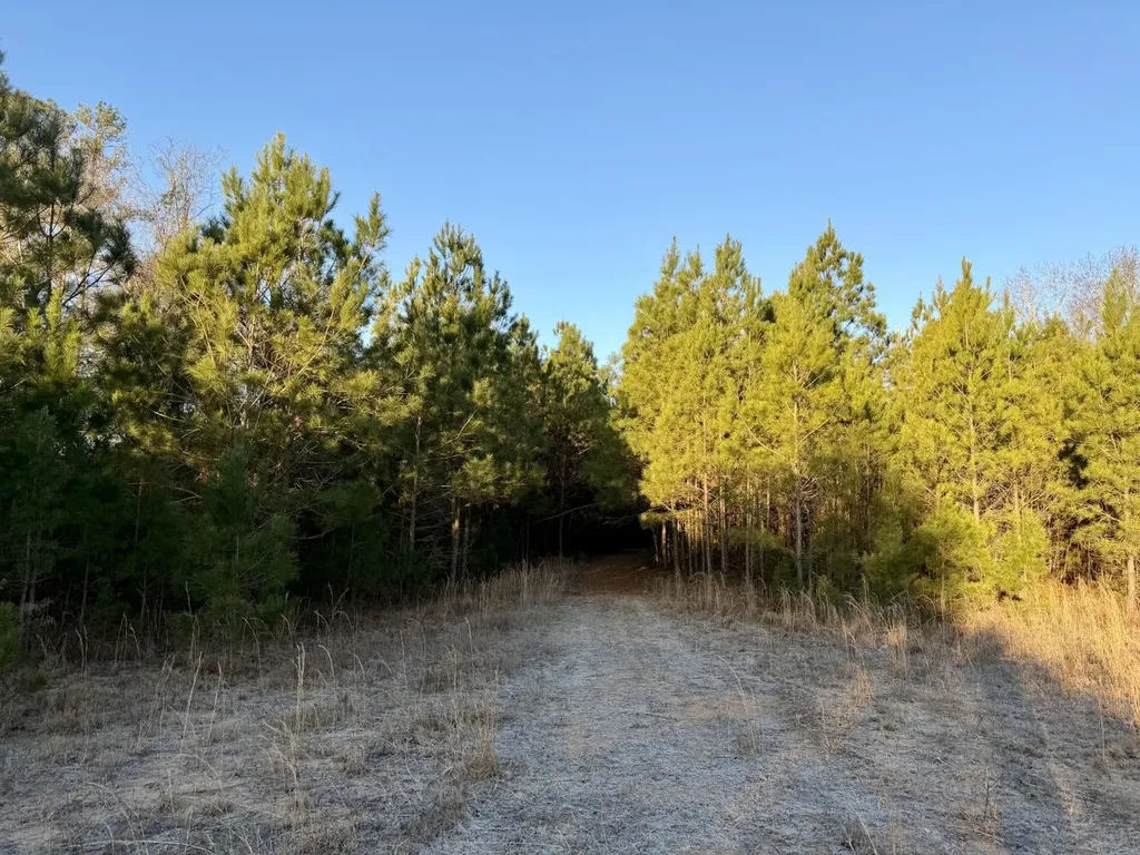 0 Amityville Road Whatley AL 36482