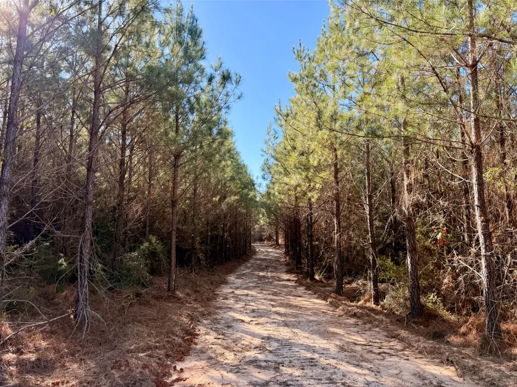 0 Bashi Road Millry AL 36558