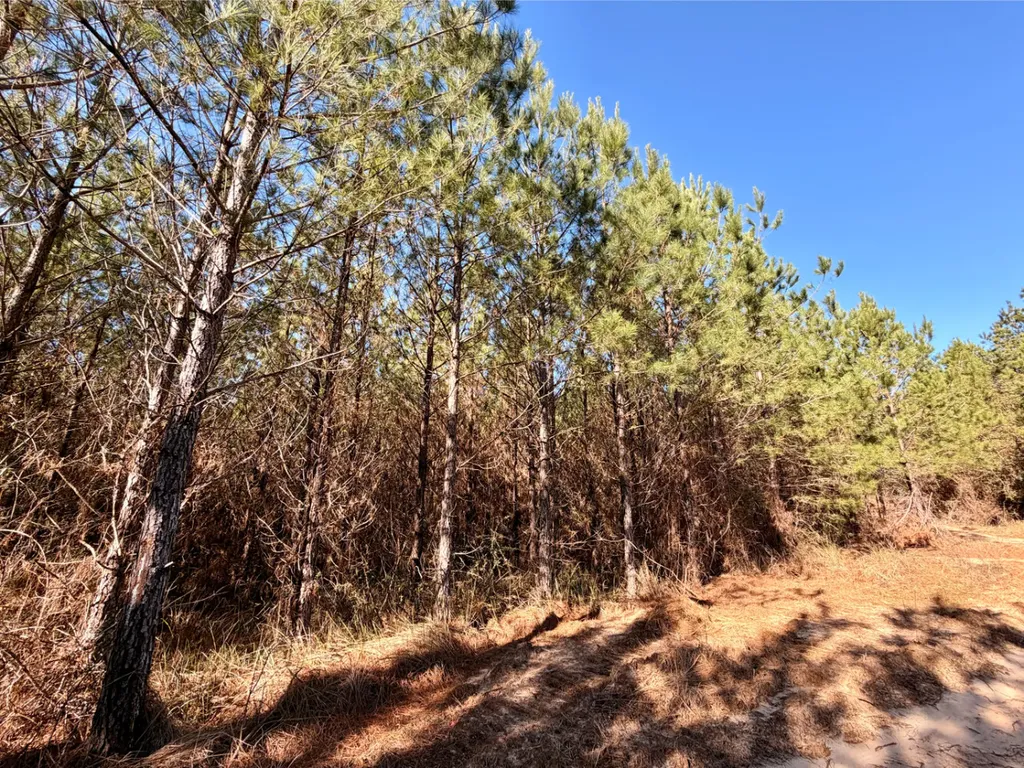 0 Bashi Road Millry AL 36558