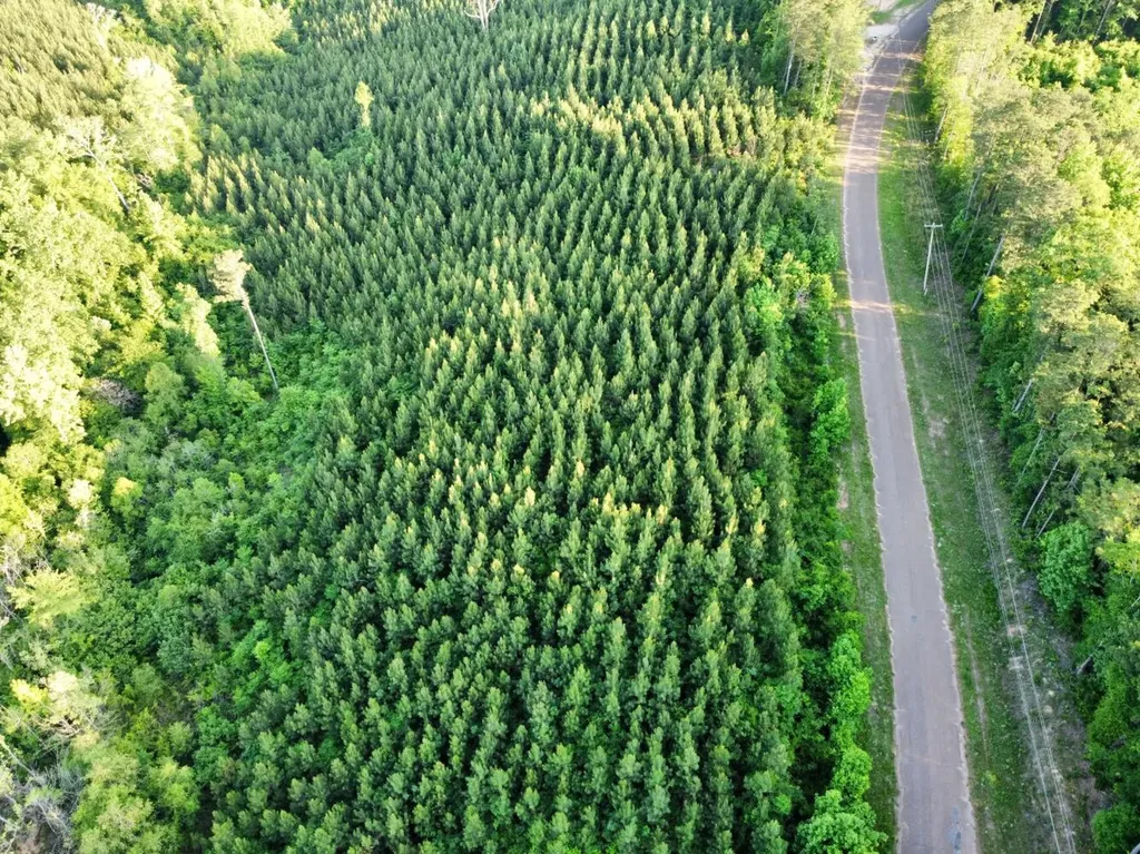 0 Bashi Road Millry AL 36558