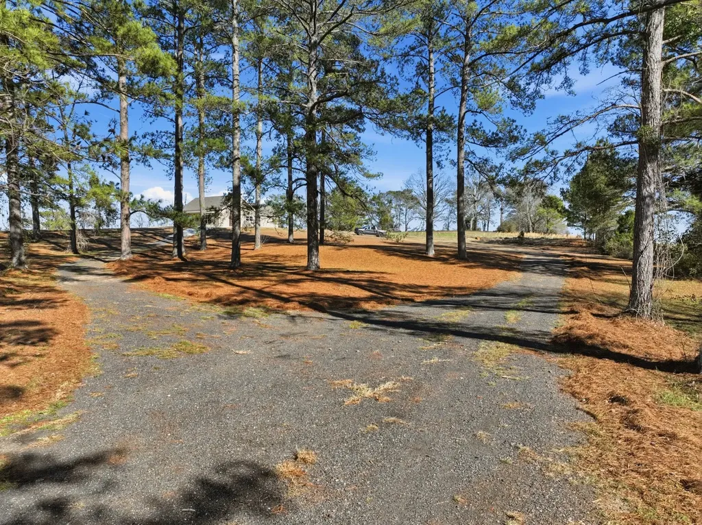 2182 County Road 2287 Glenwood AL 36034