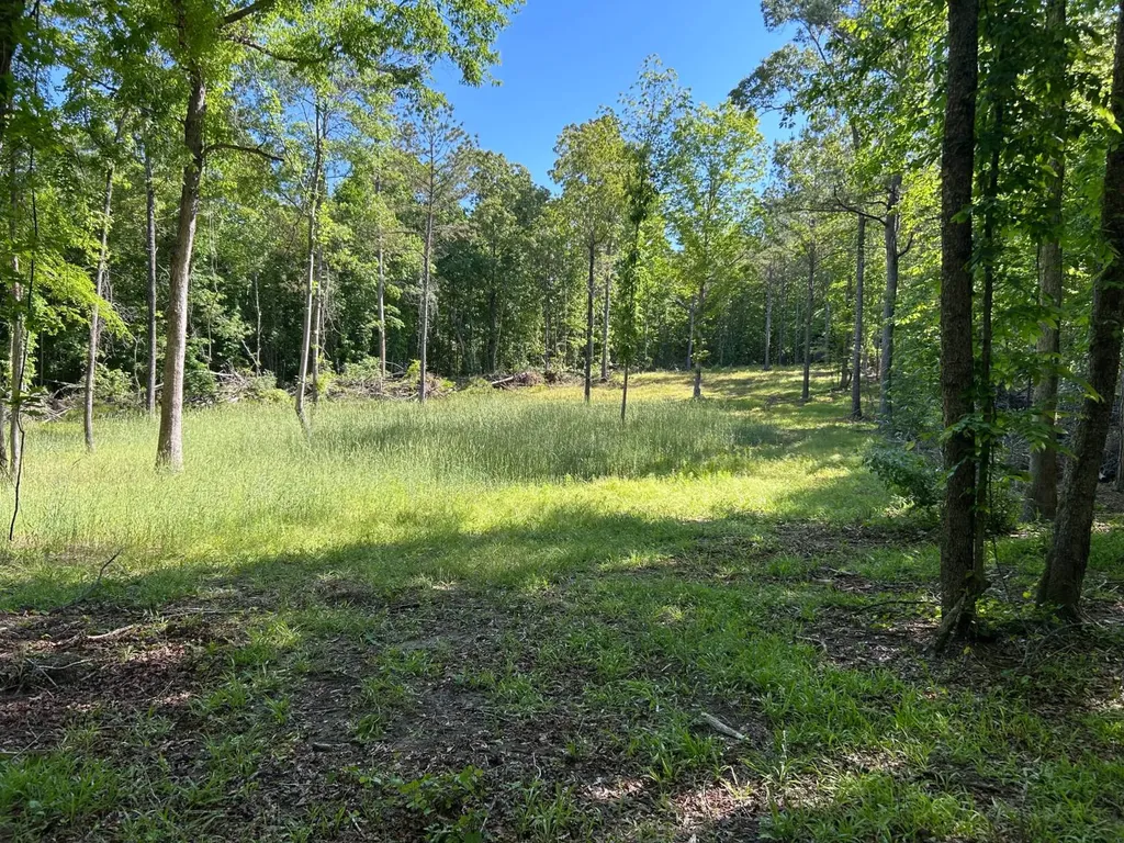 0 County Road 81 Fayette AL 35555