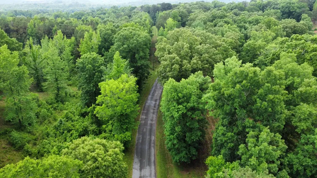 0 County Road 81 Fayette AL 35555