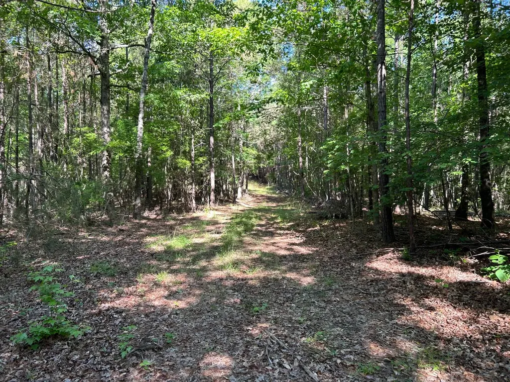 0 County Road 81 Fayette AL 35555