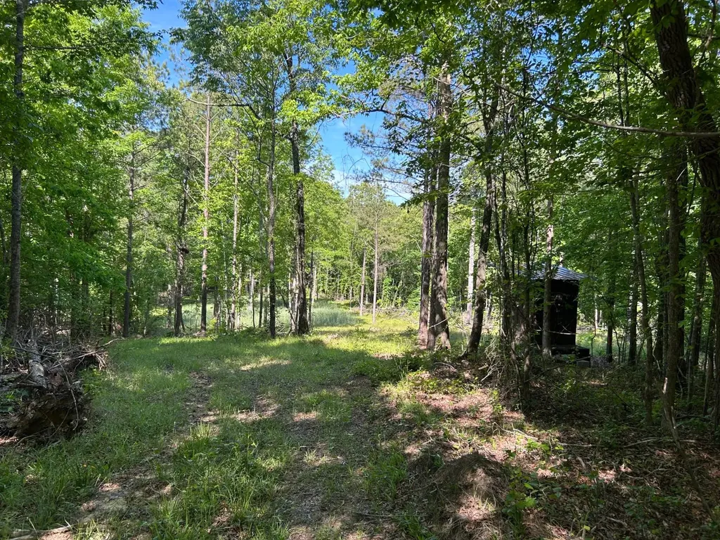 0 County Road 81 Fayette AL 35555