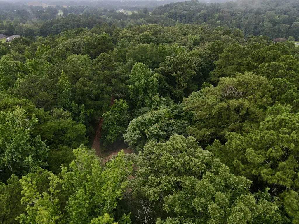 5000 Cypress Hill Road Northport AL 35473