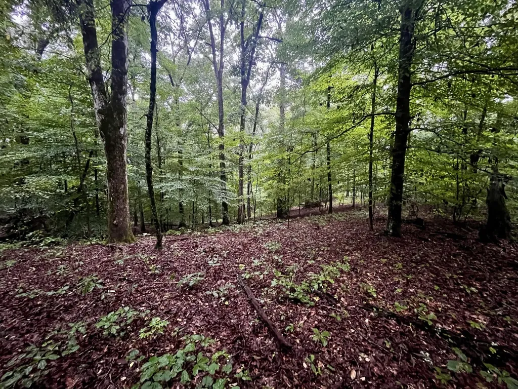 5000 Cypress Hill Road Northport AL 35473