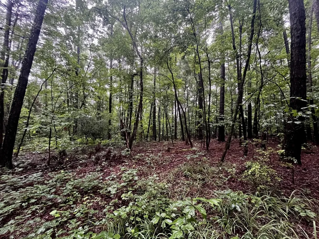 5000 Cypress Hill Road Northport AL 35473