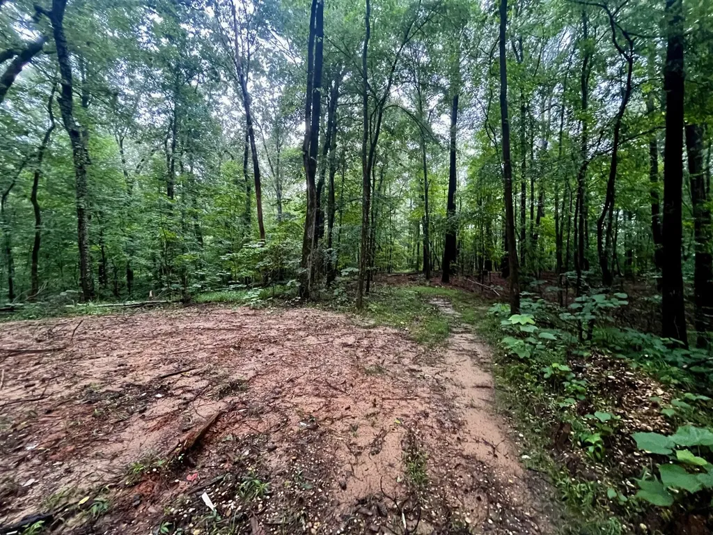 5000 Cypress Hill Road Northport AL 35473