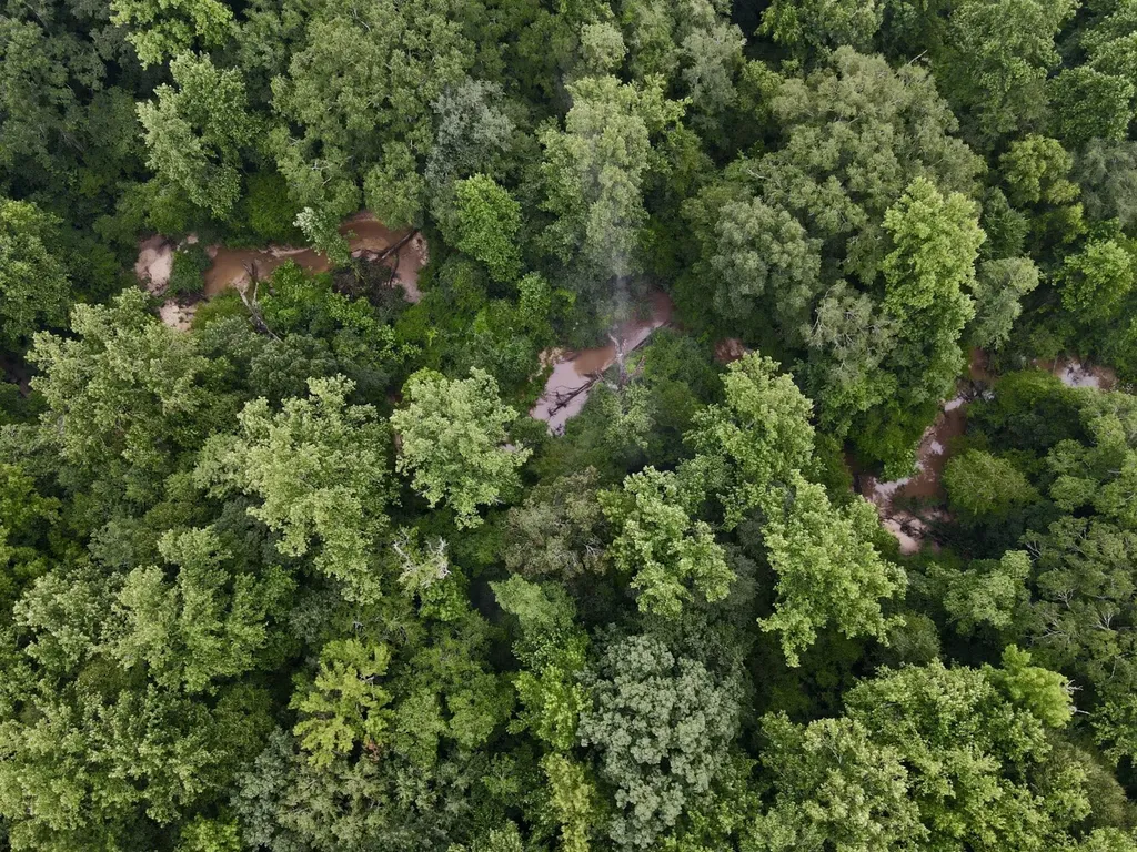 5000 Cypress Hill Road Northport AL 35473