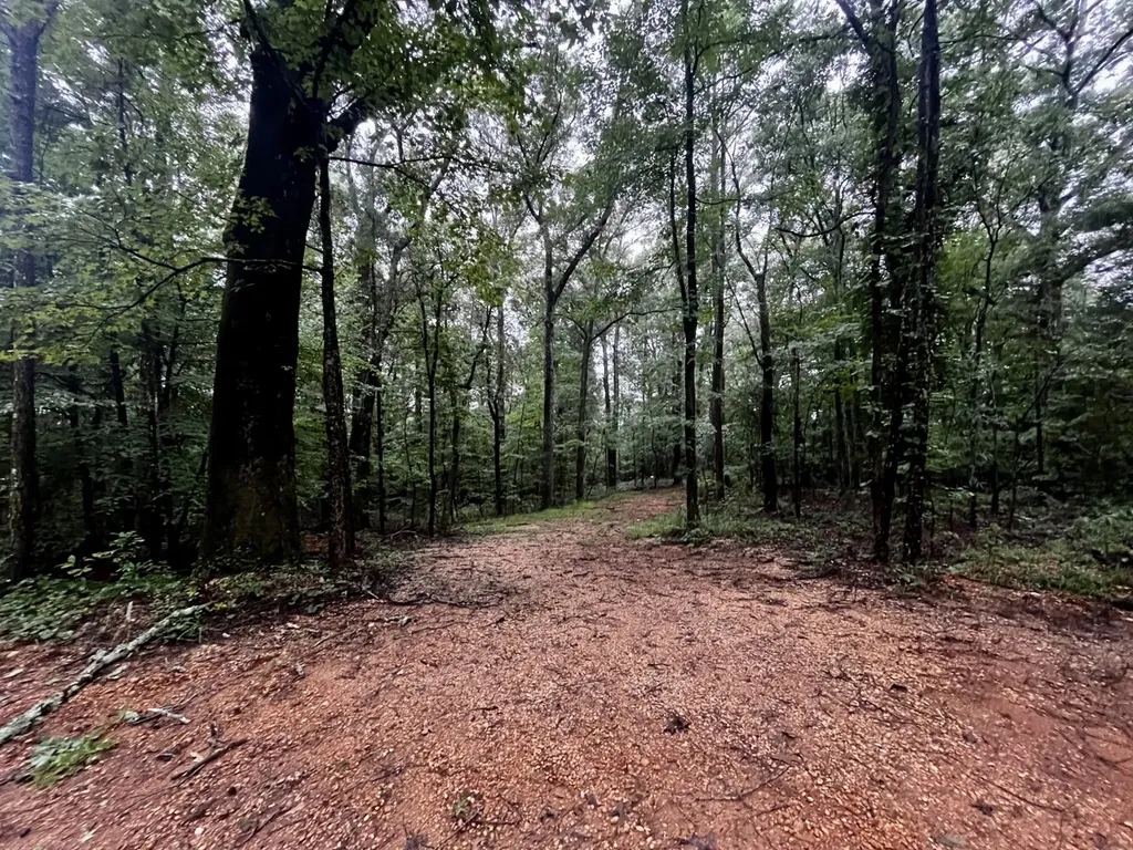 5000 Cypress Hill Road Northport AL 35473