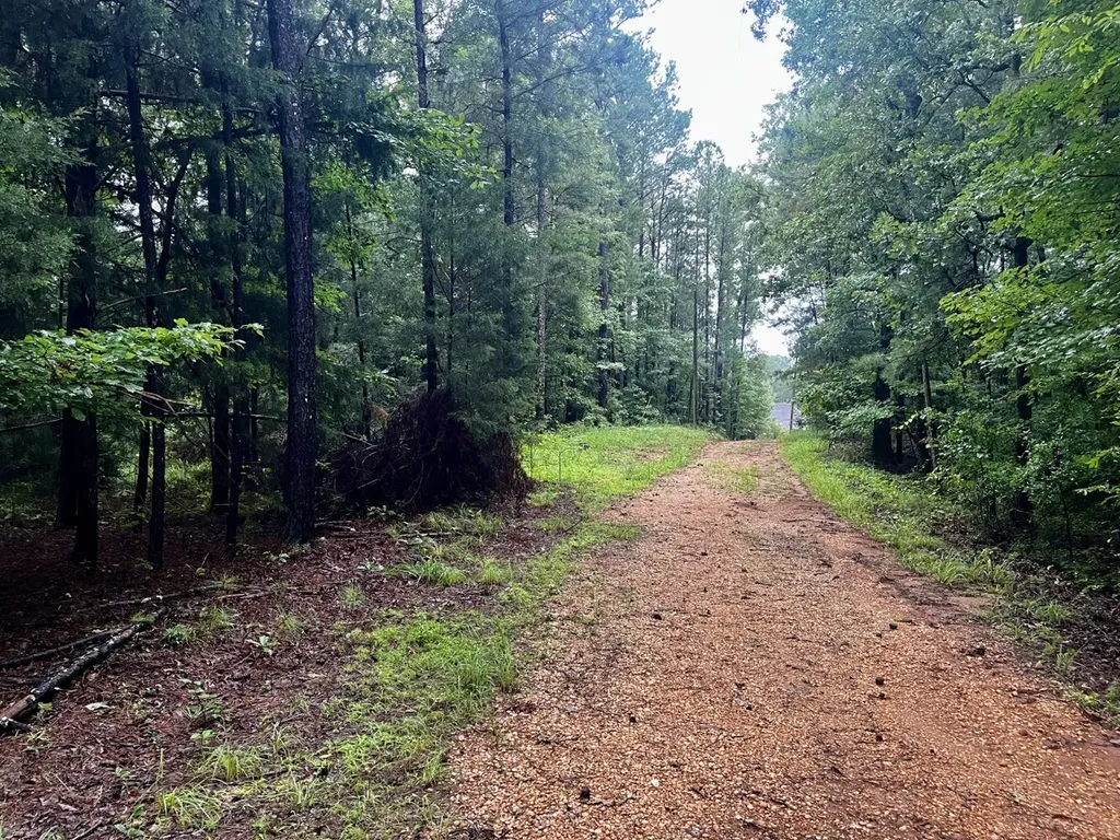 5000 Cypress Hill Road Northport AL 35473