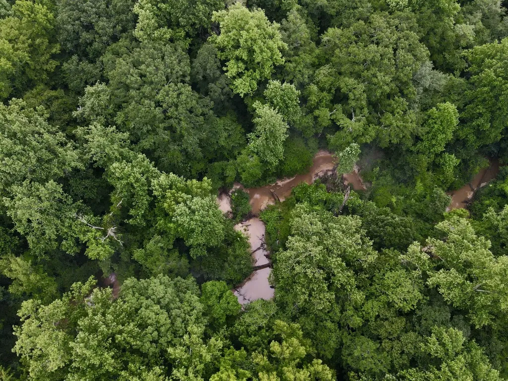 5000 Cypress Hill Road Northport AL 35473