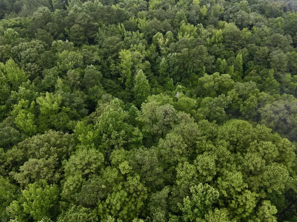 5000 Cypress Hill Road Northport AL 35473
