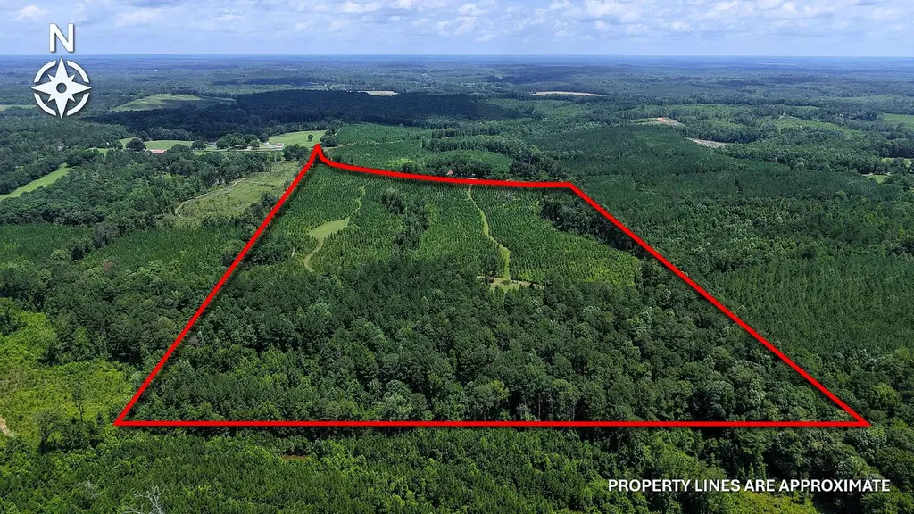 000 County Road 25 Banks AL 36005