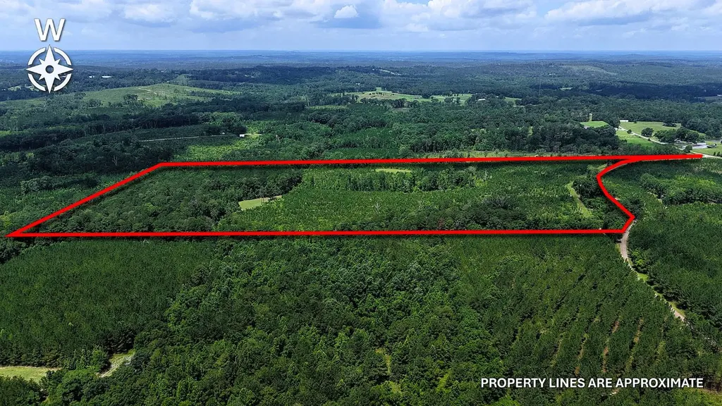 000 County Road 25 Banks AL 36005