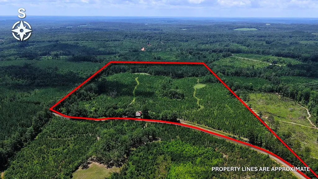 000 County Road 25 Banks AL 36005