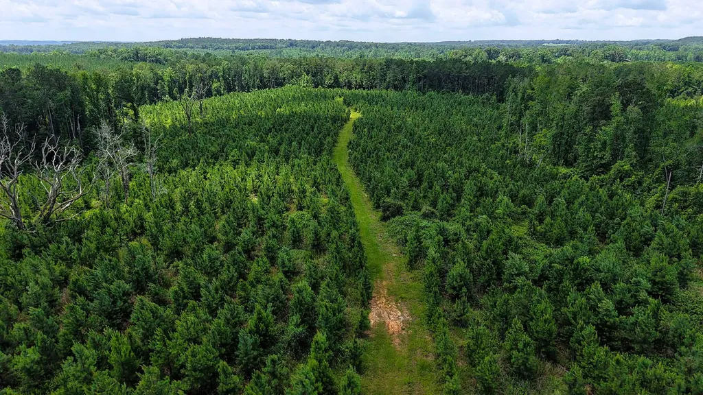 000 County Road 25 Banks AL 36005