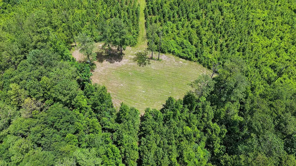 000 County Road 25 Banks AL 36005