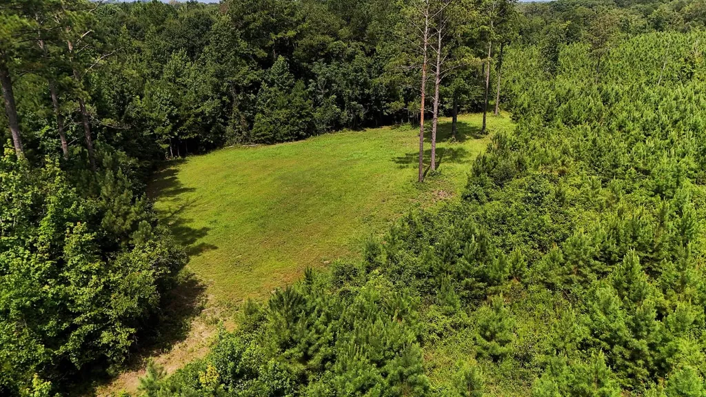 000 County Road 25 Banks AL 36005