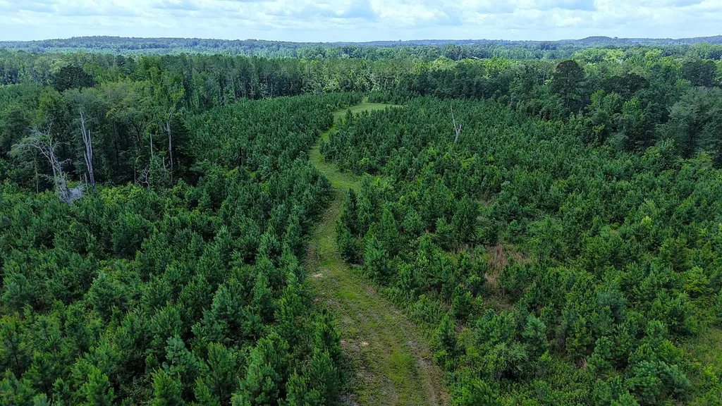 000 County Road 25 Banks AL 36005