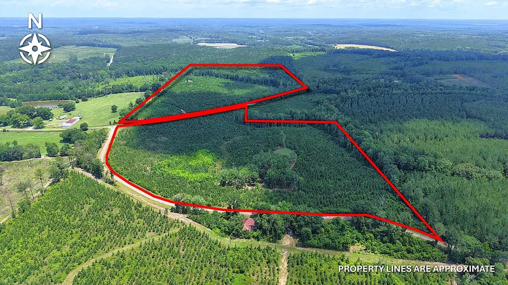000 County Road 53 Banks AL 36005