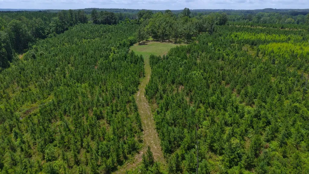 000 County Road 53 Banks AL 36005