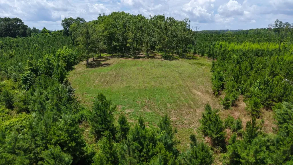 000 County Road 53 Banks AL 36005