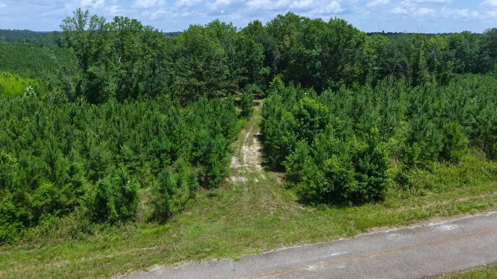 000 County Road 53 Banks AL 36005