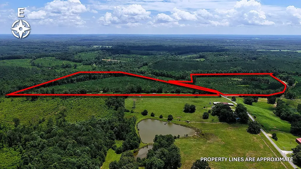 000 County Road 53 Banks AL 36005