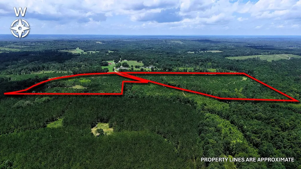 000 County Road 53 Banks AL 36005