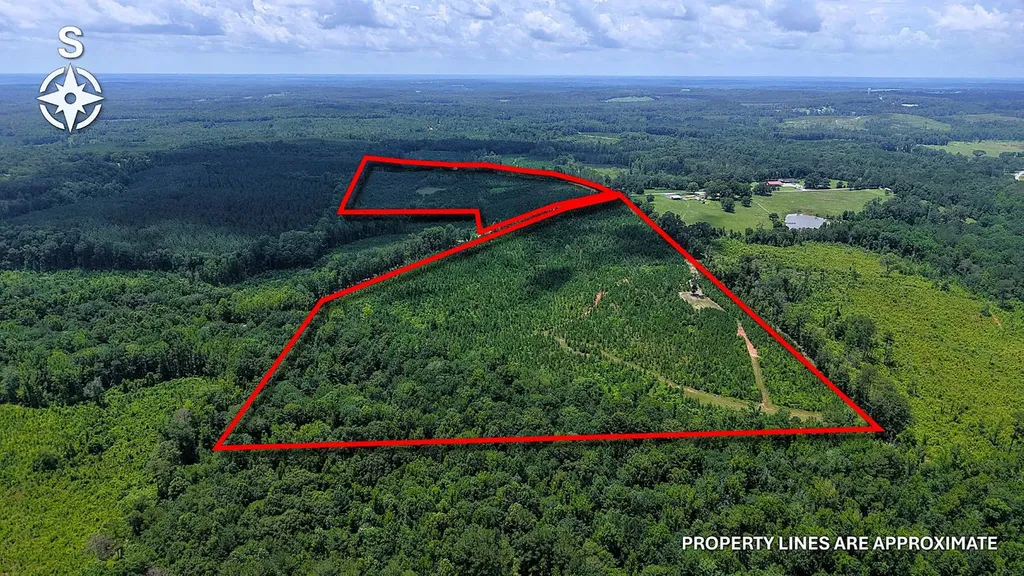 000 County Road 53 Banks AL 36005