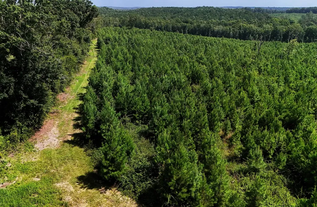 000 County Road 53 Banks AL 36005